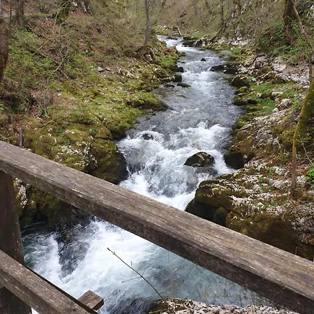 Daire Denis Brod Moravice